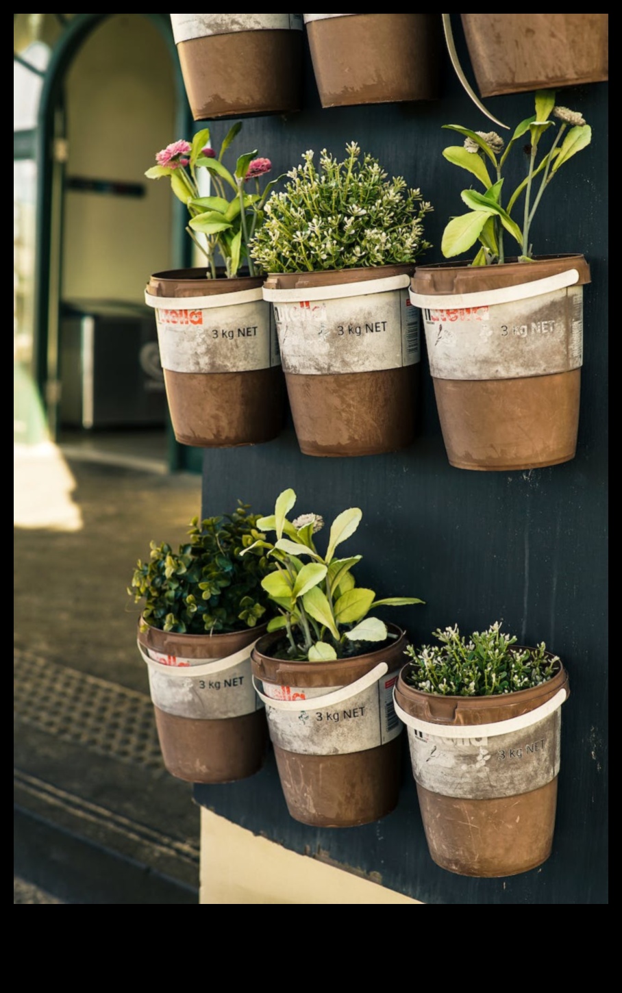 Pocket-Sized Eden The Joy and Benefits of Container Gardening 2 Pocket-Sized Eden: The Allure of Container Gardening