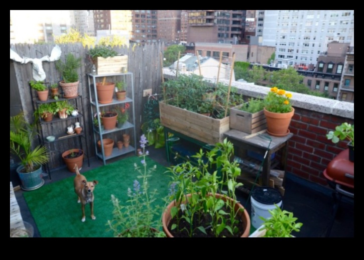 Pocket-Sized Paradise How to Grow Your Own Food in the City 4 Pocket-Sized Paradise: Urban Gardening Simplified