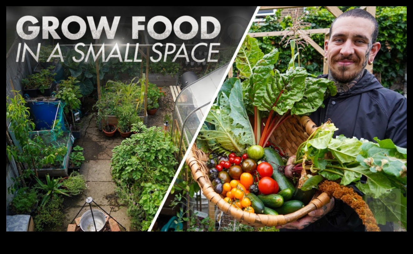 Pocket-Sized Paradise How to Grow Your Own Food in the City 5 Pocket-Sized Paradise: Urban Gardening Simplified