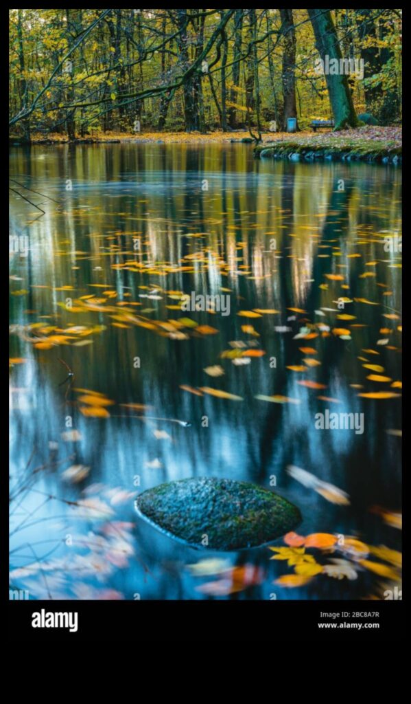 Pondering Reflections Lakes and Ponds in Different Moods 1