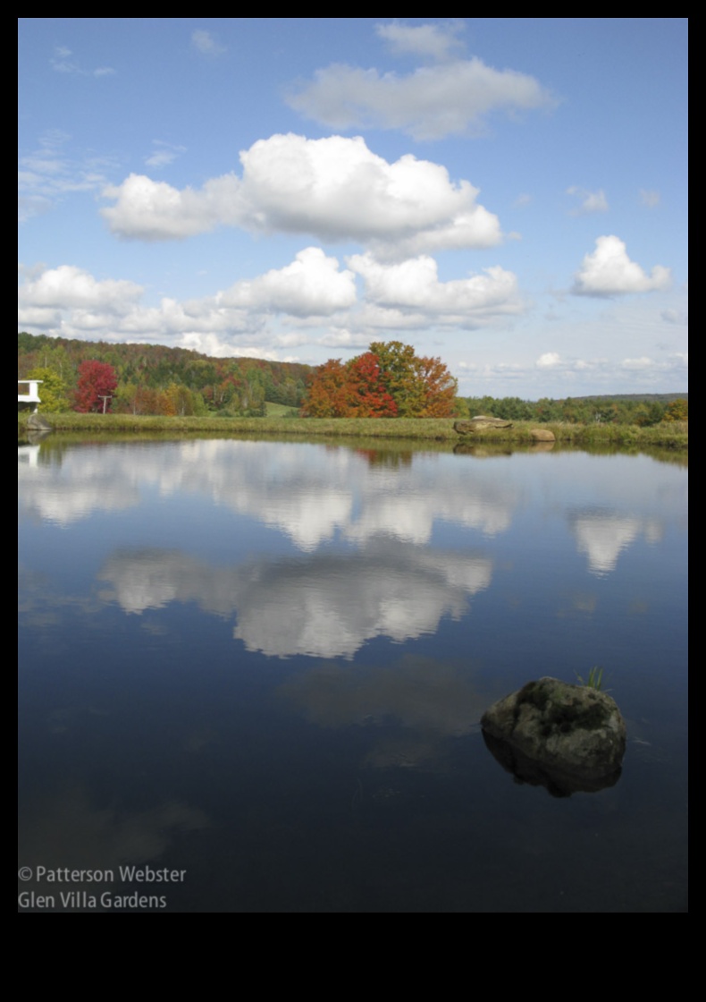 Pondering Reflections II: Lakes and Ponds in Different Moods