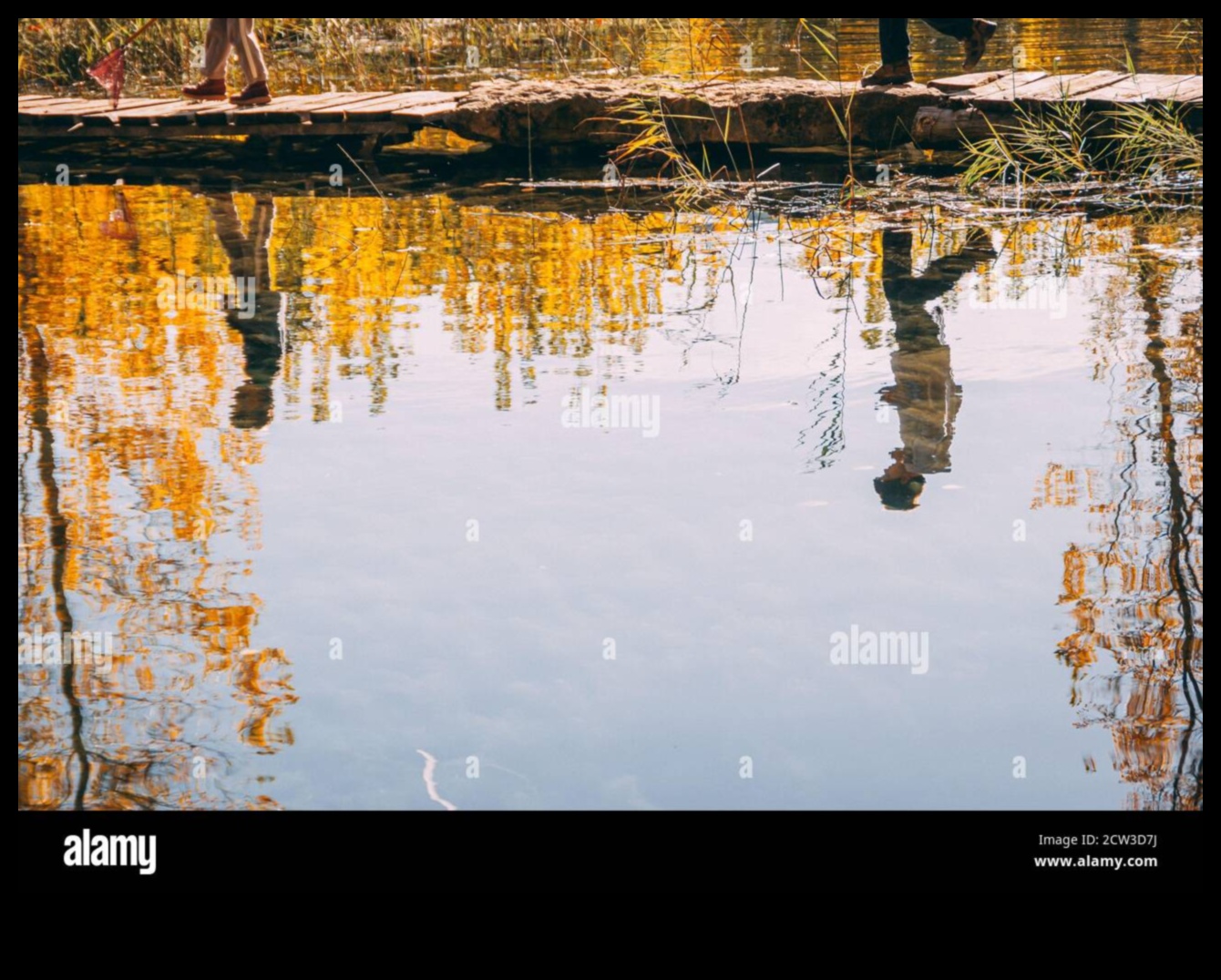 Pondering Reflections II: Lakes and Ponds in Different Moods