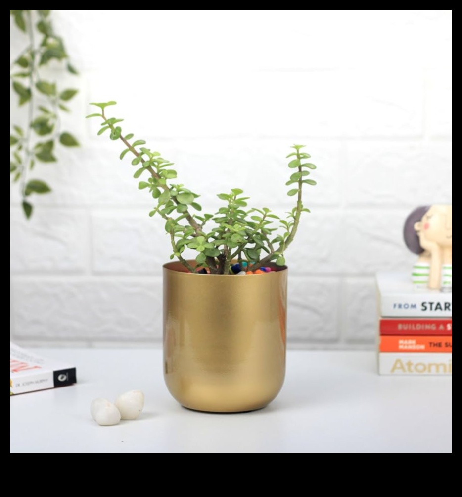 Pot of Gold Grow a Beautiful Garden in Any Space 2 Pot of Gold: Container Gardening Tips for Blooming Success