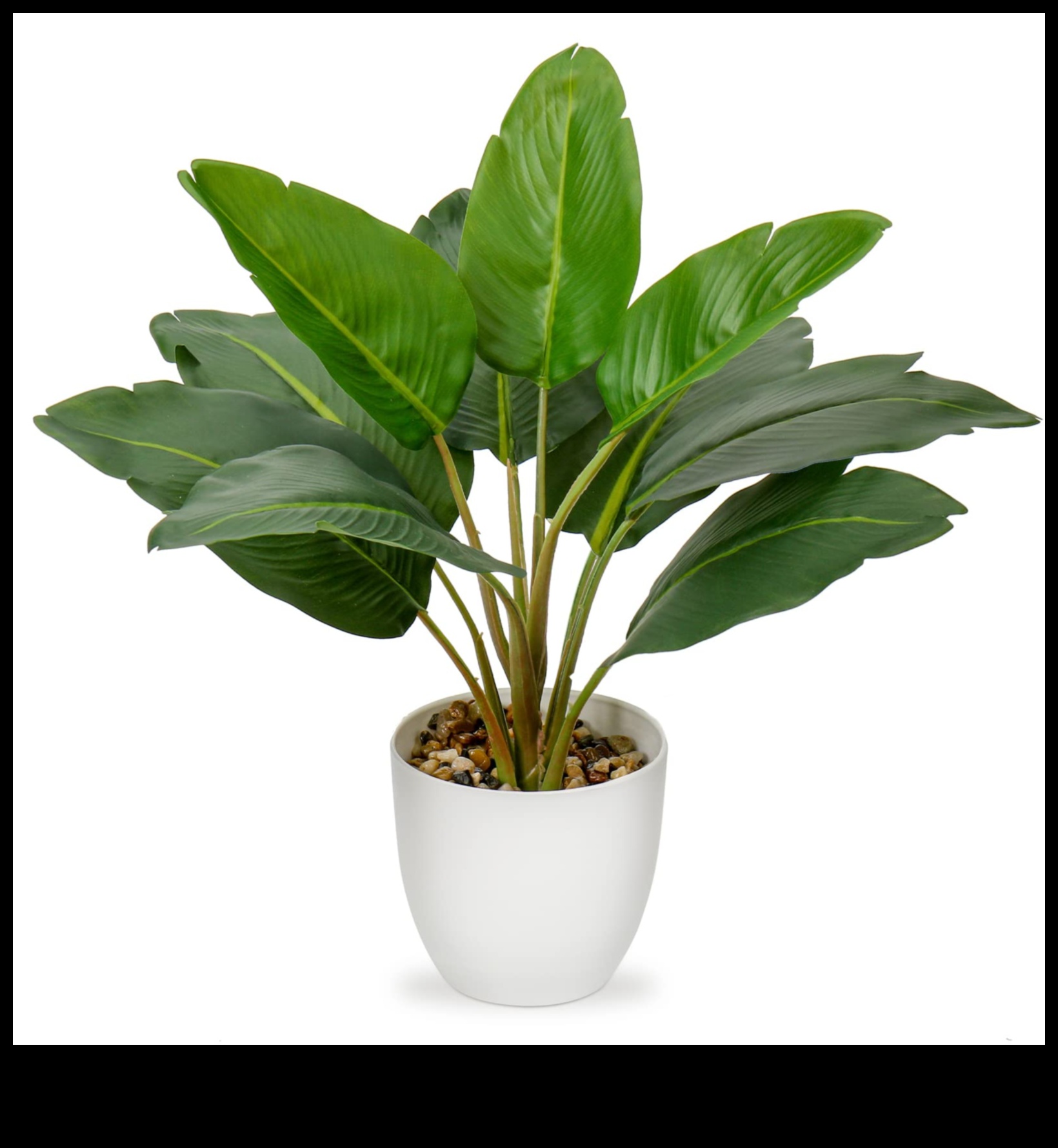 Potted Paradise Bring the Outdoors In With Indoor Gardening 1 Potted Paradise: Indoor Gardening for Every Living Space