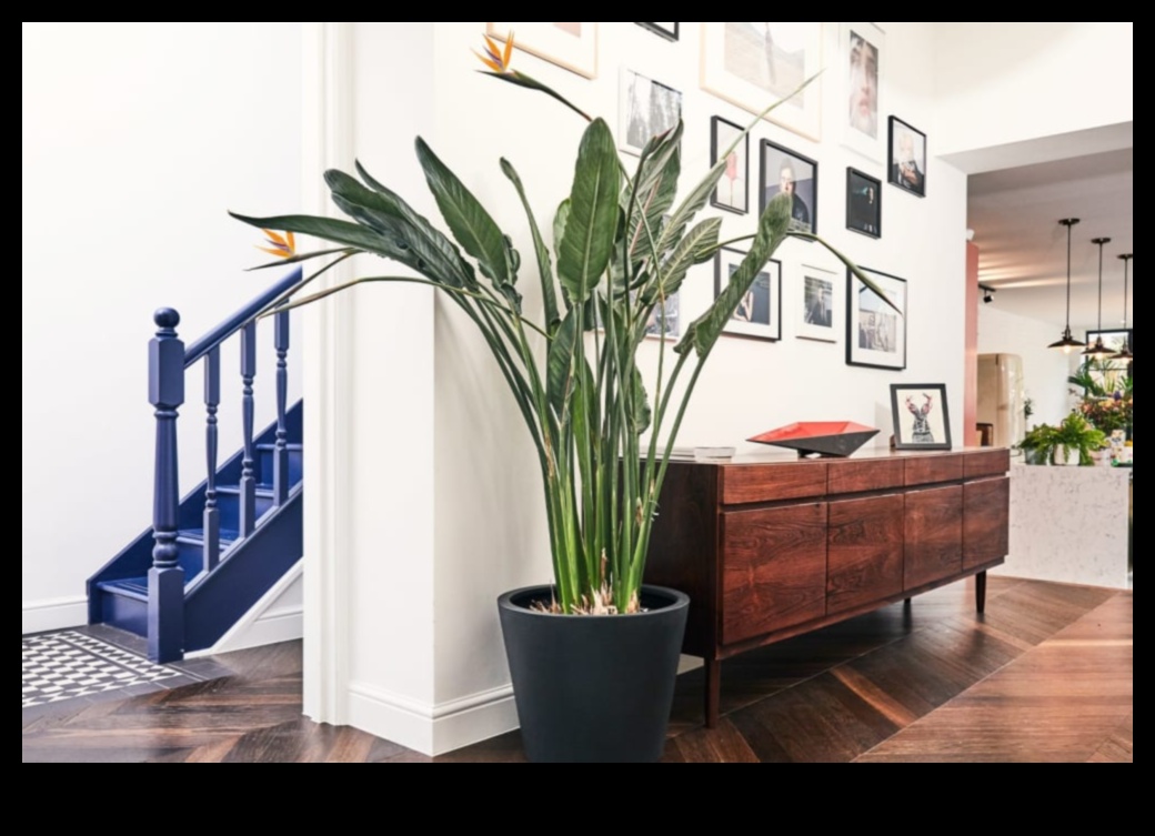 Potted Paradise Bring the Outdoors In With Indoor Gardening 2 Potted Paradise: Indoor Gardening for Every Living Space