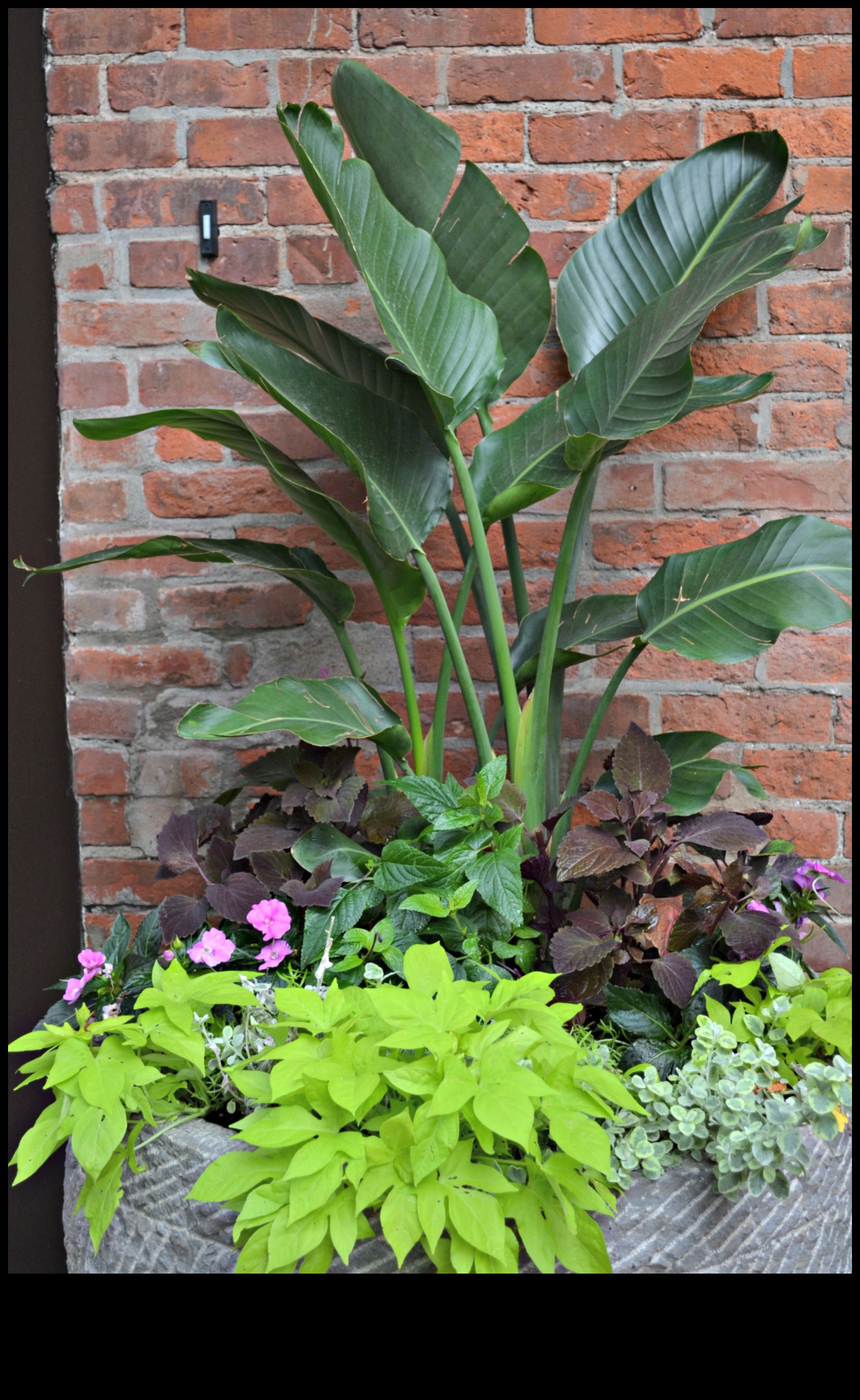 Potted Paradise Bring the Outdoors In With Indoor Gardening 4 Potted Paradise: Indoor Gardening for Every Living Space