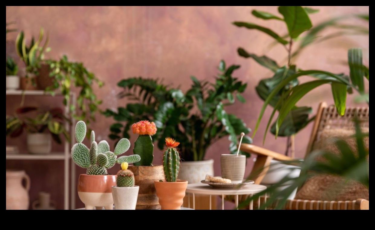 Potted Paradise: Indoor Gardening Ideas for Every Space