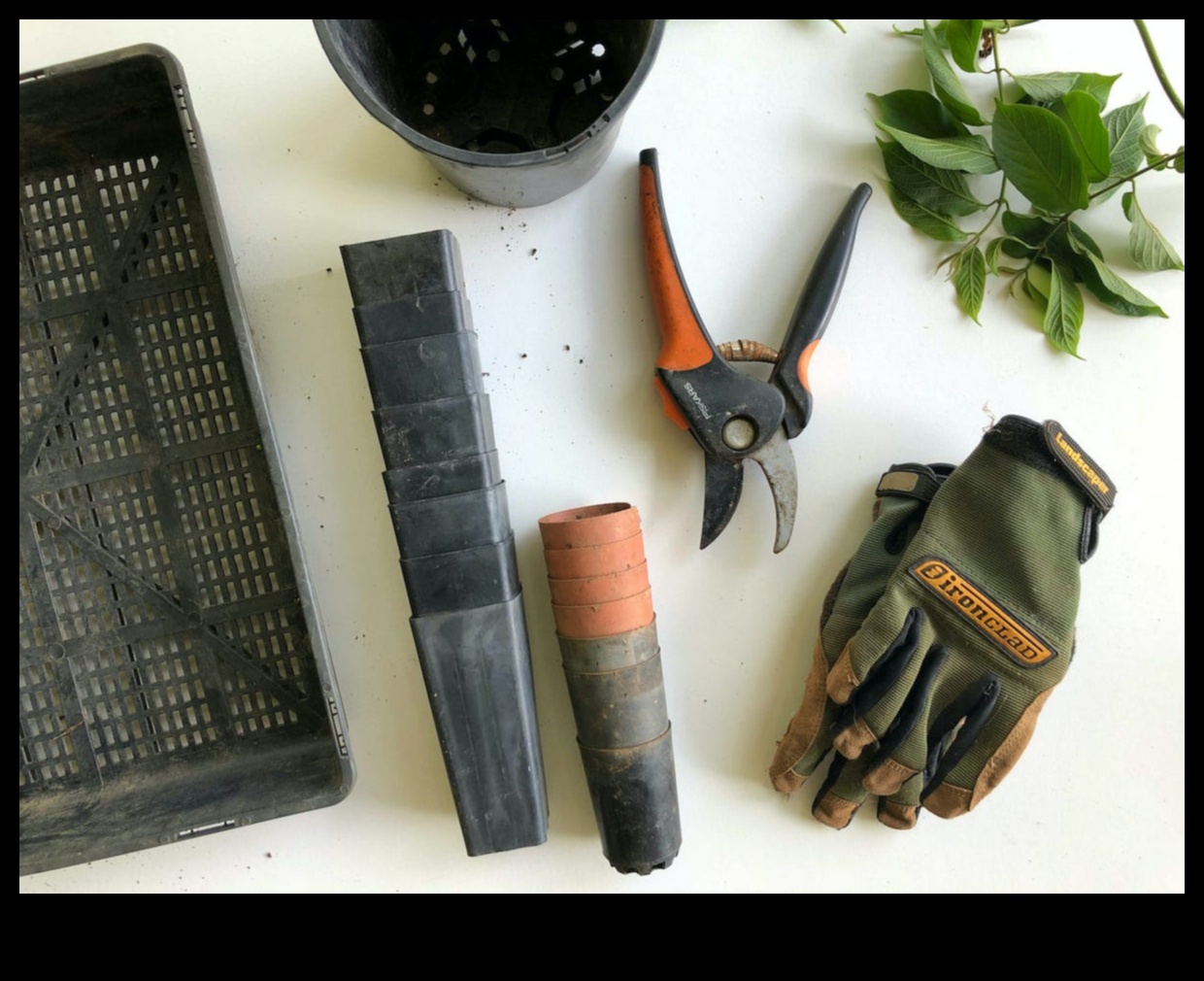 Practical Perfection 5 Must-Have Tools for Your Garden Arsenal 2 Practical Perfection: Upgrade Your Garden Arsenal