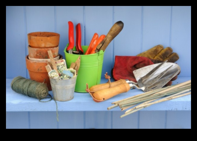 Practical Perfection 5 Must-Have Tools for Your Garden Arsenal 3 Practical Perfection: Upgrade Your Garden Arsenal