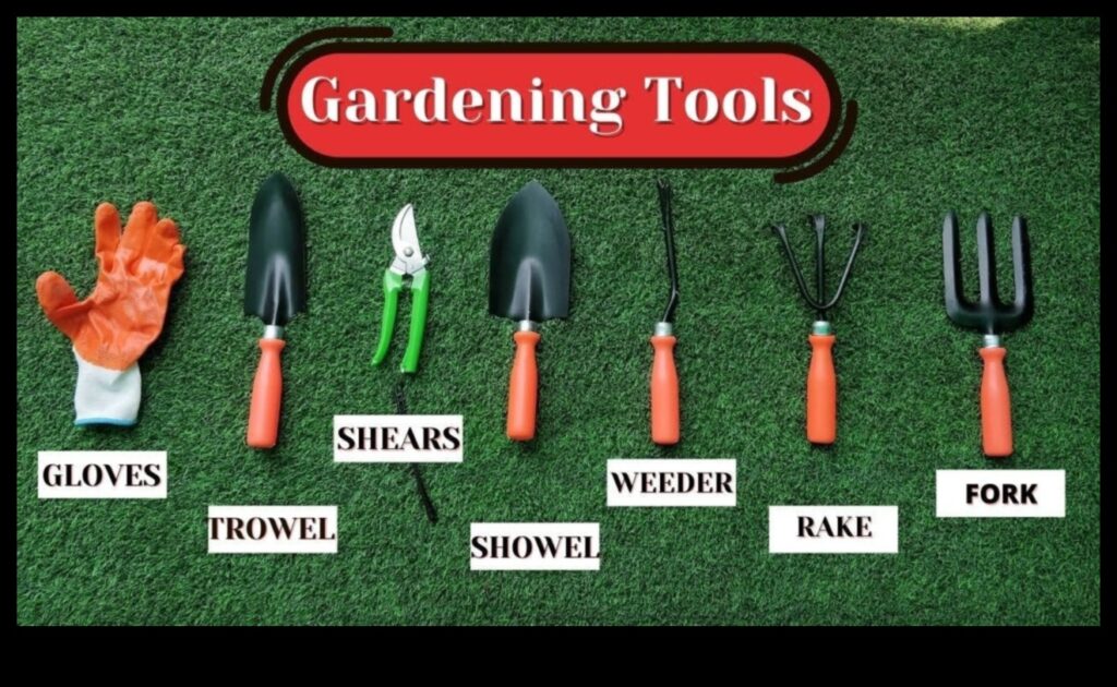 Practical Planting The 5 Must-Have Garden Tools for Every Gardener 1