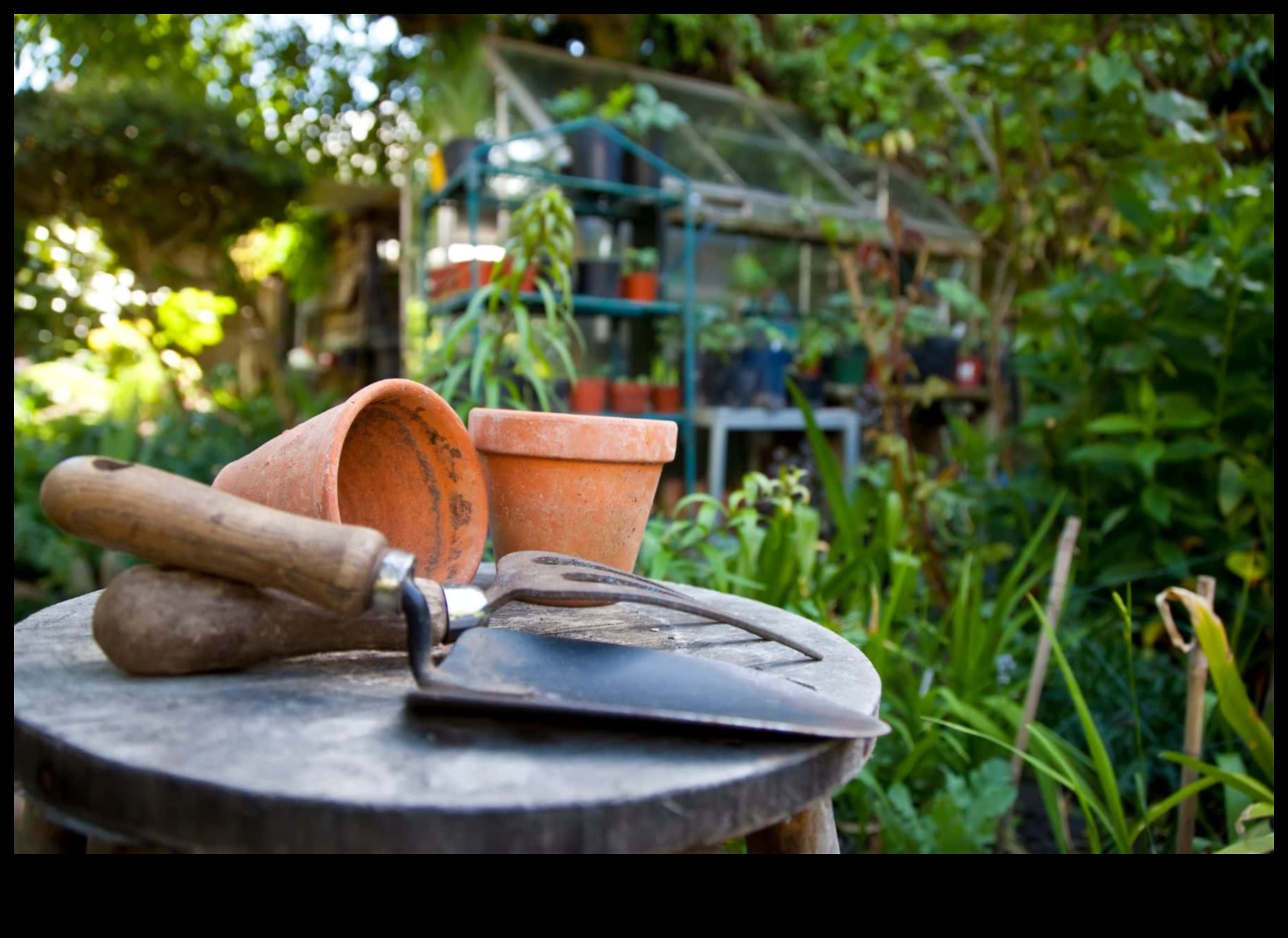 Practical Planting The 5 Must-Have Garden Tools for Every Gardener 3 Practical Planting: Essential Garden Tools for Every Gardener