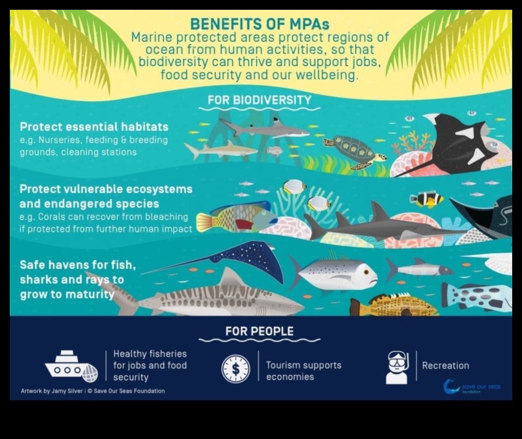 Protected Natural Areas: Preserving Biodiversity Hotspots