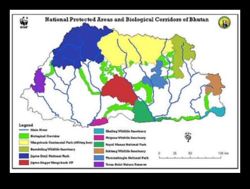 Protected Paradises III: Natural Areas Under Global Protection Extended