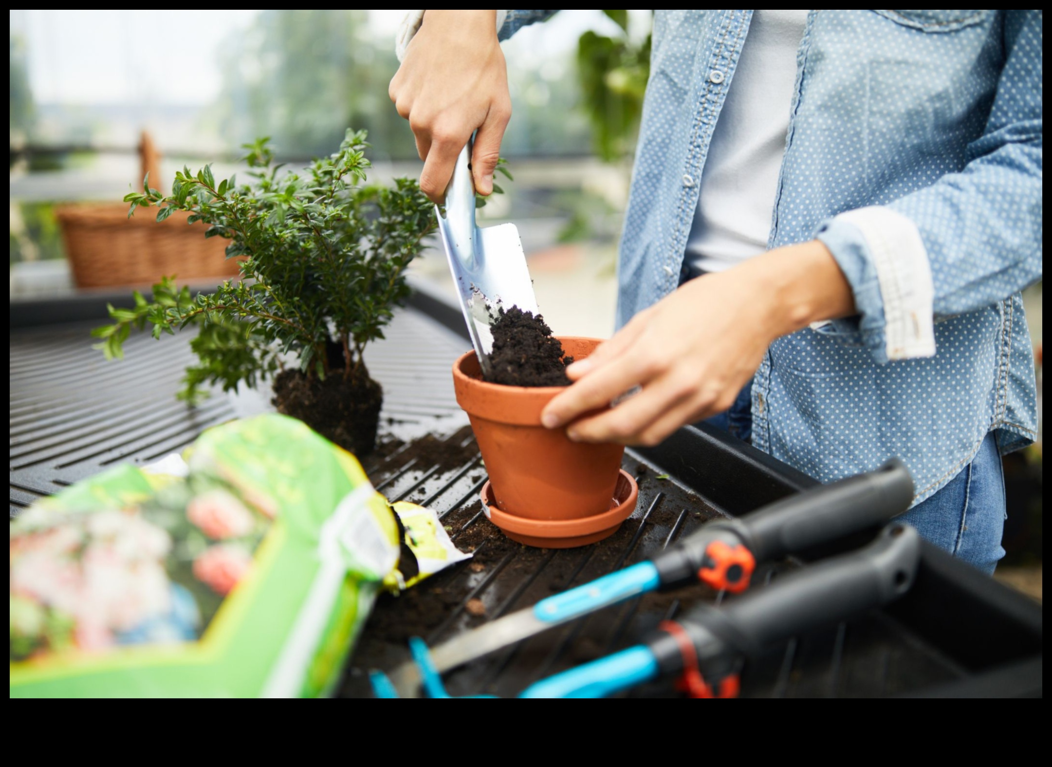 Prune and Bloom Expert-Approved Garden Tools for a Beautiful and Bountiful Harvest 1 Prune and Bloom: Expert-Approved Garden Tools