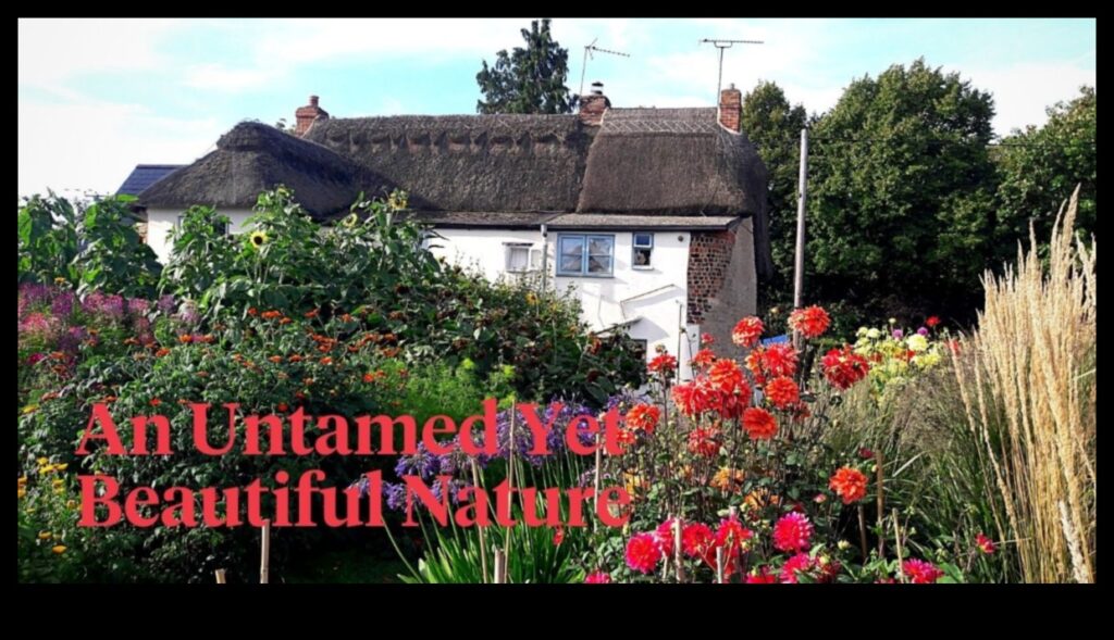 Quaint Charm A Timeless Beauty in Cottage Gardens 1