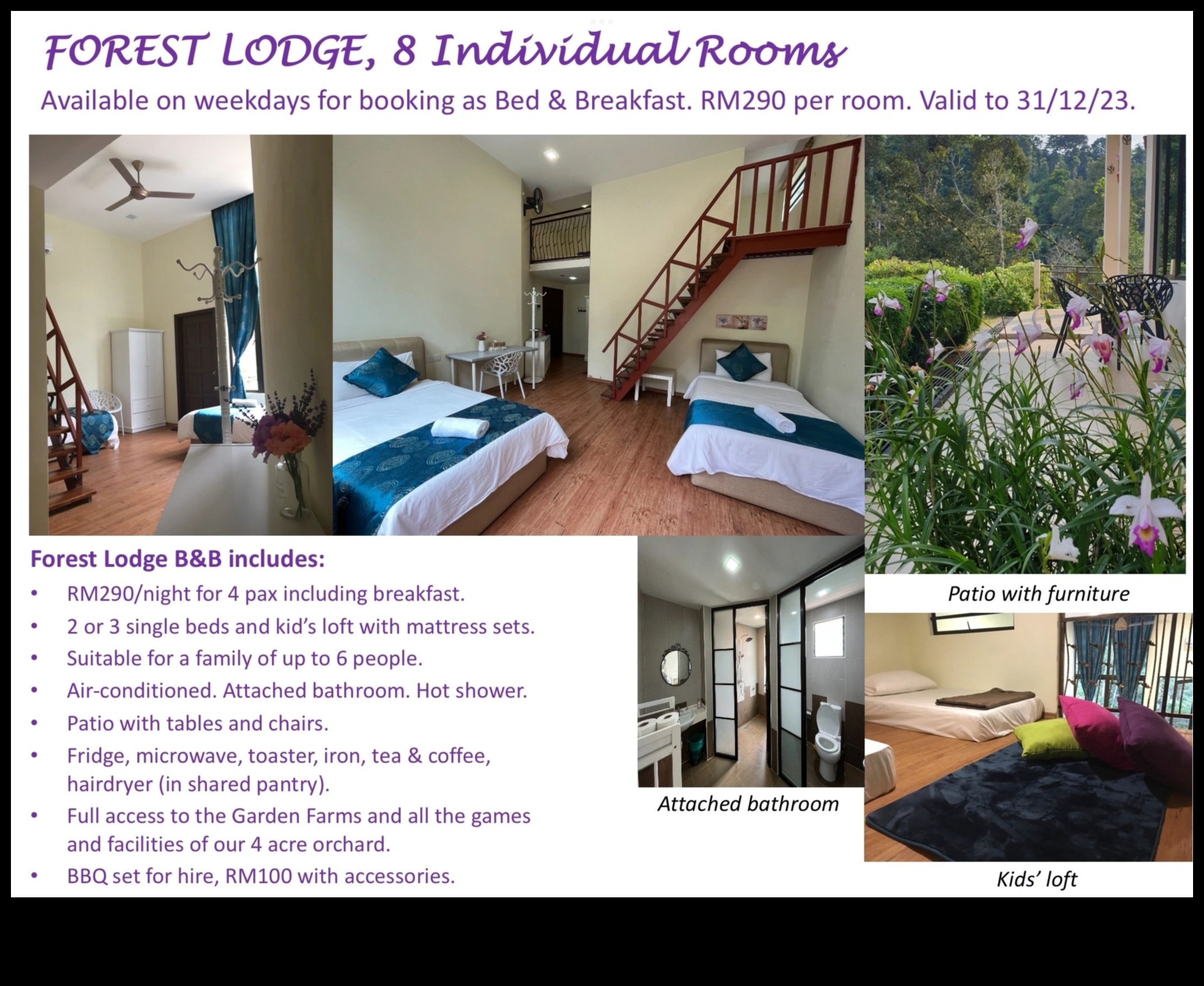 Radiant Retreat: Elevate Your Garden with Trendy Accents