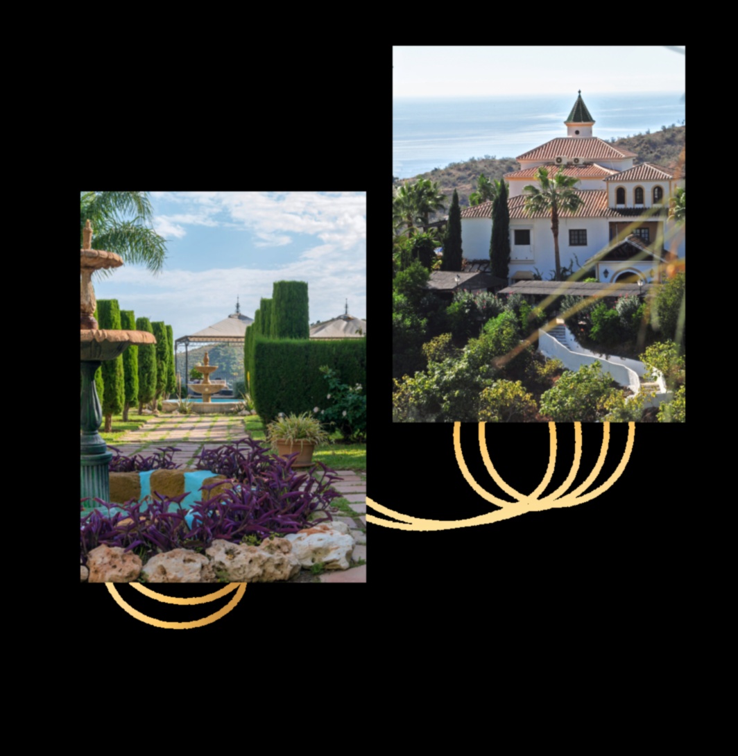 Radiant Retreat: Dive into the World of Garden Artistry