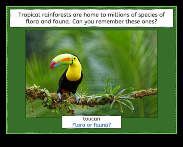 Why are rainforests considered one of the most diverse landscapes?