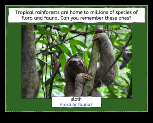 Why are rainforests considered one of the most diverse landscapes?