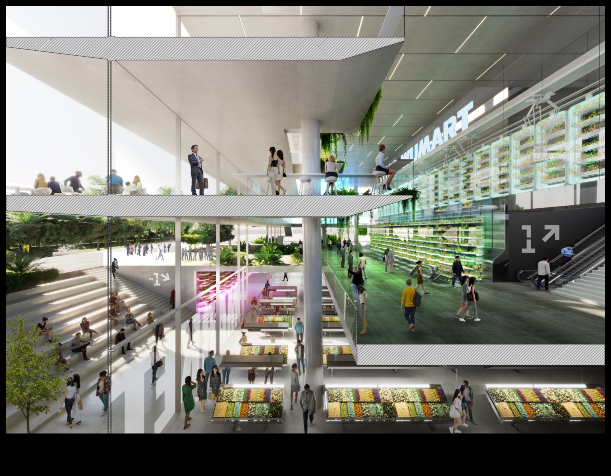 Reach for the Sky: Vertical Gardening Triumphs