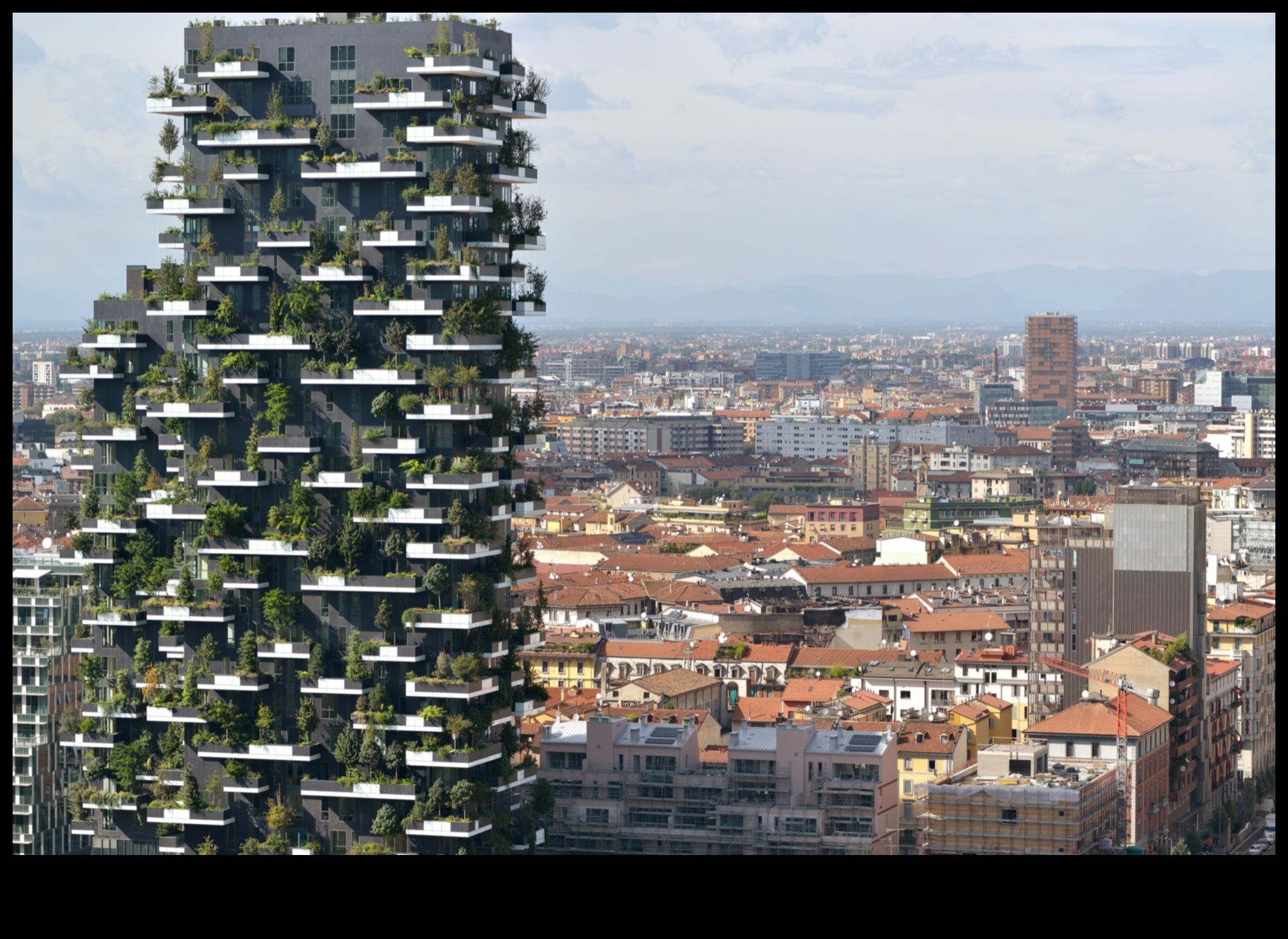 Reaching New Heights: Vertical Gardening Brilliance