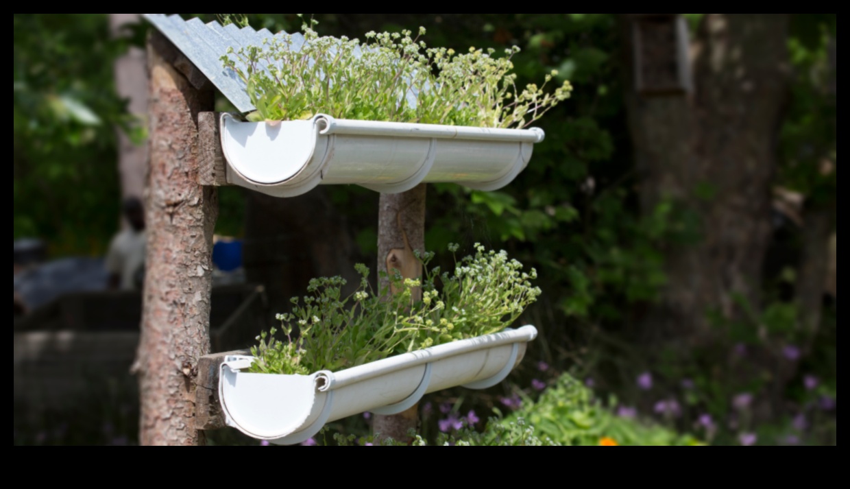 Reaching New Horizons: Vertical Gardening Wonders