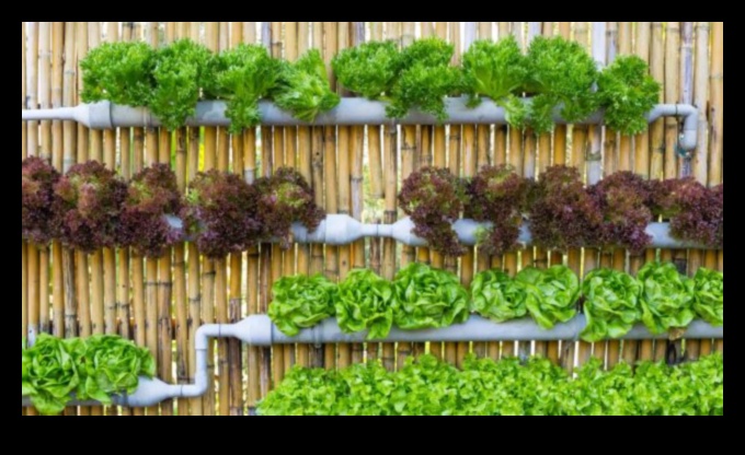 Reaching New Peaks: Vertical Gardening Wonders