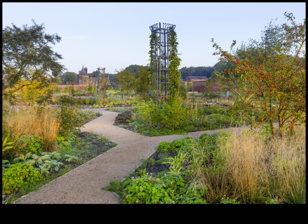 Reimagining the Urban Landscape 1