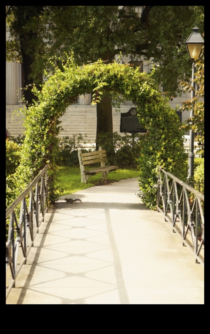 Rise and Shine: Vertical Gardening Tips for Stunning Heights