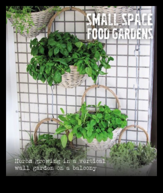 Rising Gardens: A Guide to Successful Vertical Gardening
