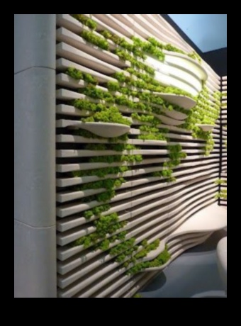 Rising Greenery: Vertical Gardening Inspirations