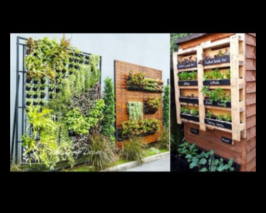 Rising Greenery: Vertical Gardening Inspirations