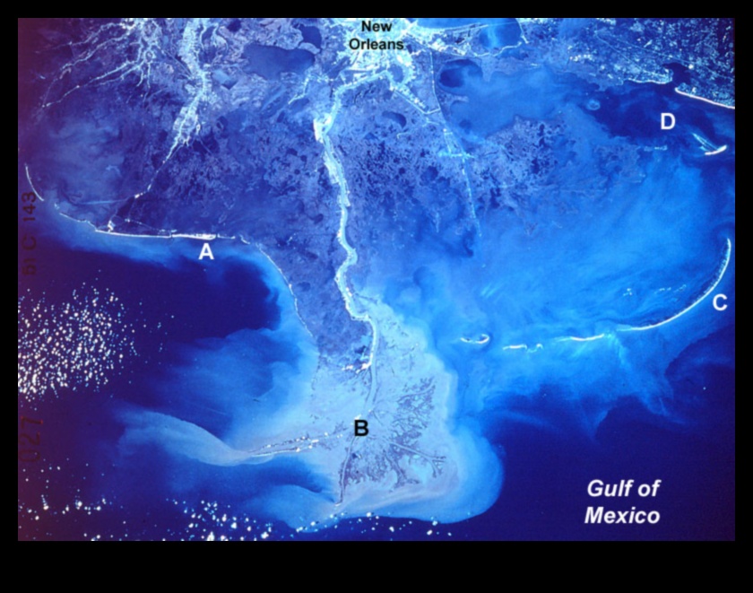 Why are river deltas important components of aquatic landscapes?