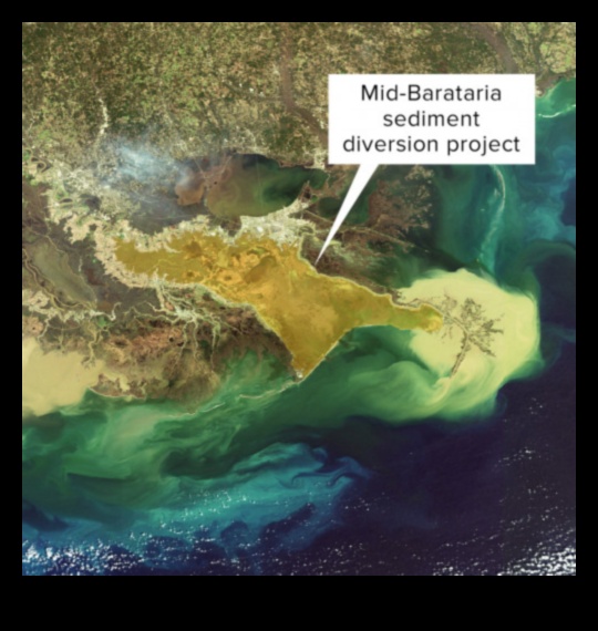 Why are river deltas important components of aquatic landscapes?