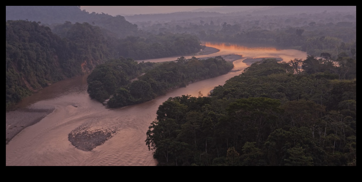 Flowing Elegance: Rivers and Streams in the Spotlight