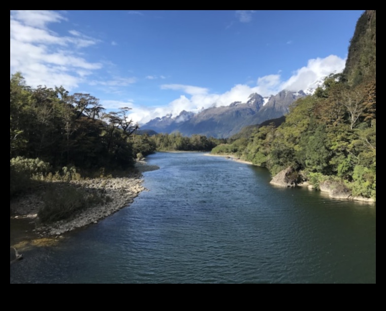 Flowing Elegance: Rivers and Streams in the Spotlight