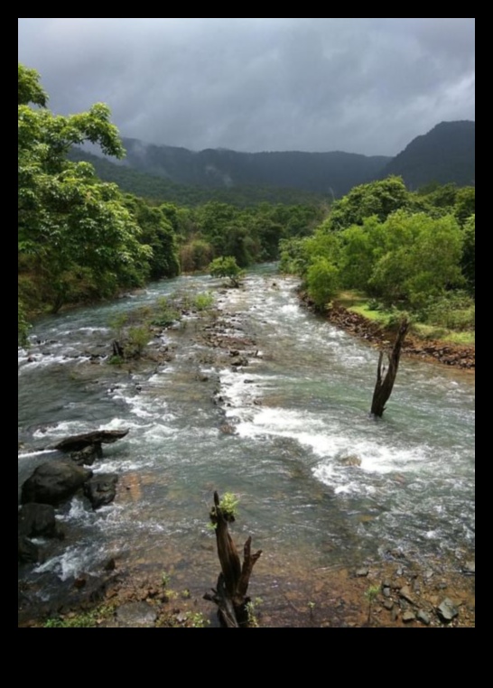 Rivers Lifelines of the Landscape 1