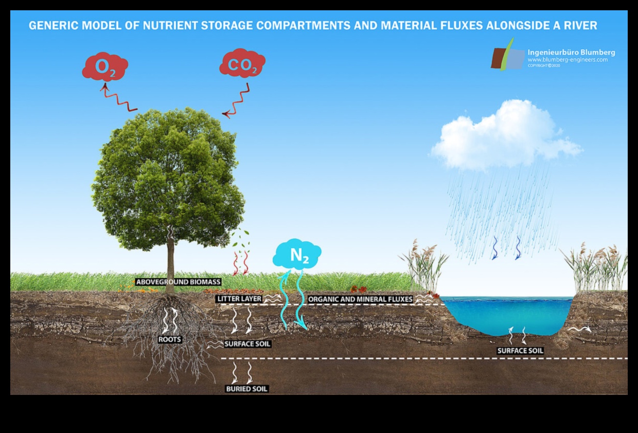 Waterscapes: A Journey Through River and Lake Views