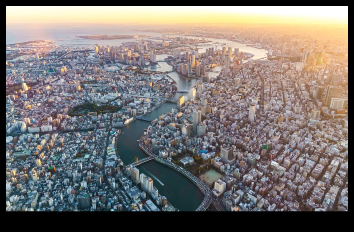 Urban Rivers: Waterways Flowing Through Cityscapes