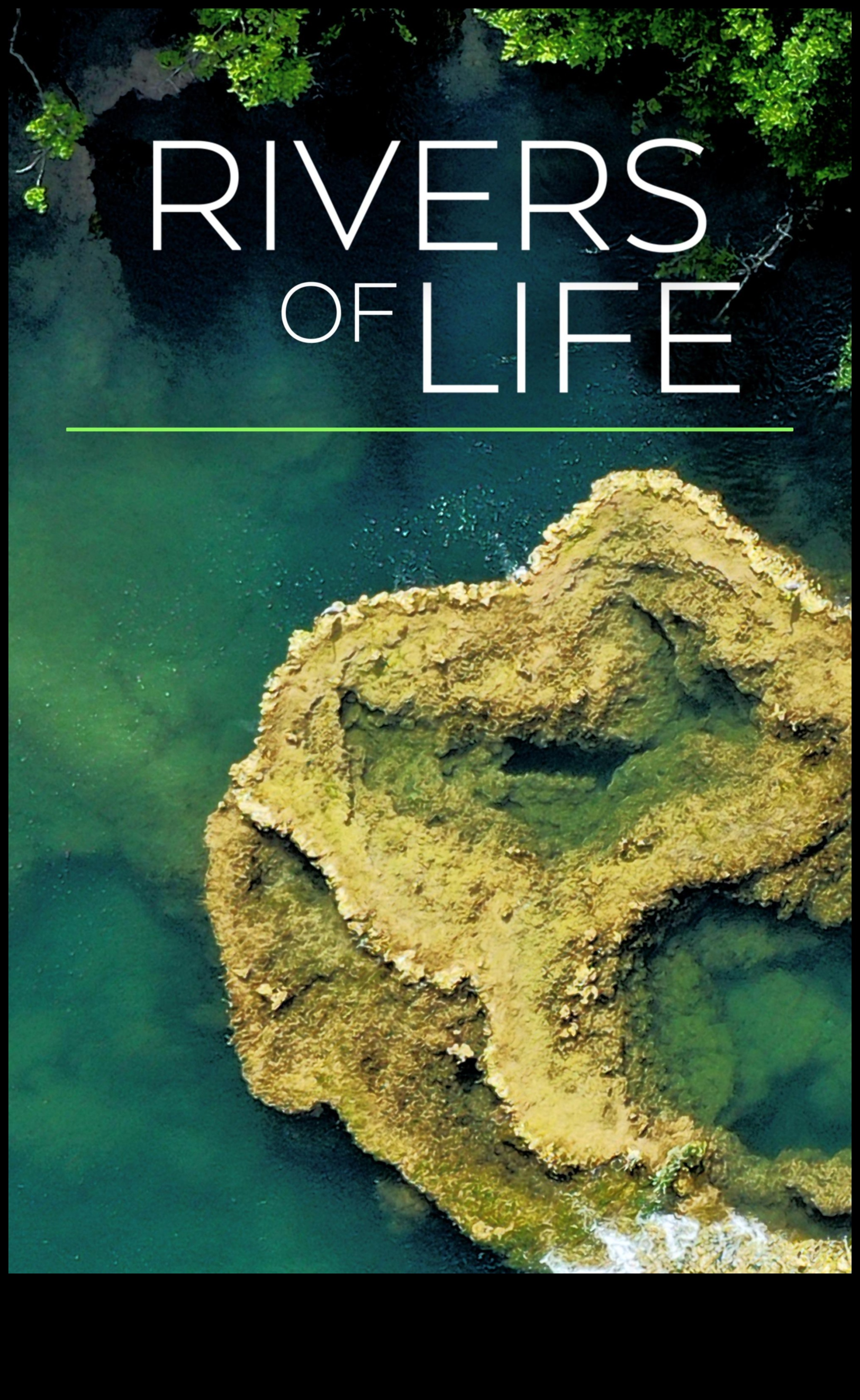 River Chronicles: Navigating the Beauty of Streams and Rivers