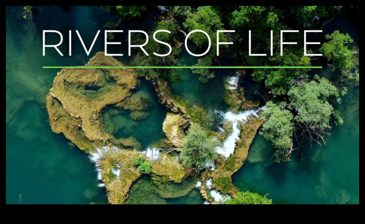 River Chronicles: Navigating the Beauty of Streams and Rivers
