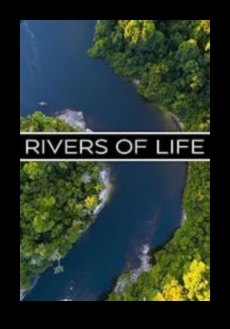 River Chronicles: Navigating the Beauty of Streams and Rivers