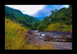 Riverside Retreats: Idyllic Scenes Along the Riverbanks