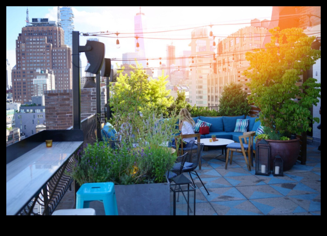 Rooftop Gardens: Green Oases in the Concrete Jungle