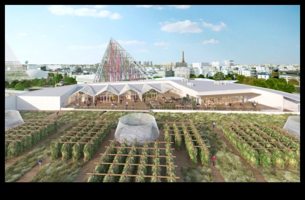 Rooftop Gardens The Future of Urban Agriculture 1