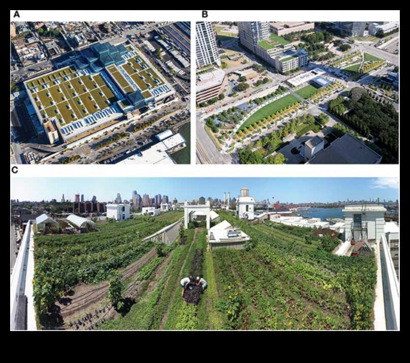 Sky Gardens: Rooftop Escapes in the Skyline