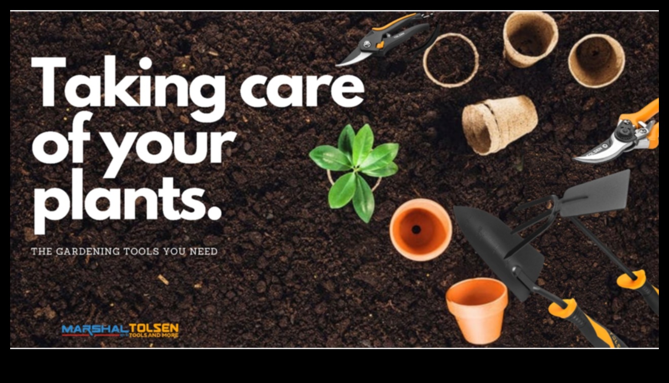 Root for Results: Upgrade Your Garden Arsenal Today