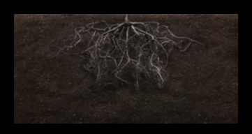 Rooted Intelligence: Thriving with Garden Education