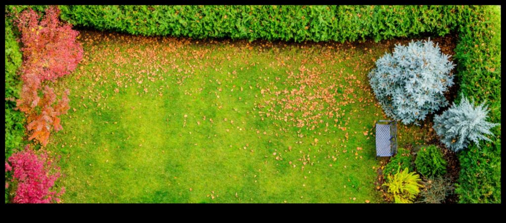 Rooted Radiance How to Keep Your Garden Looking Brilliant with Proper Maintenance 1