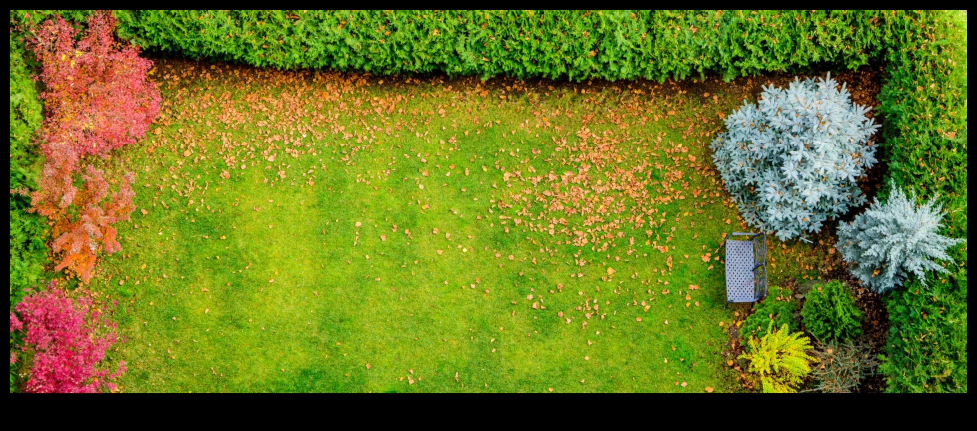 Rooted Radiance: Unveiling Secrets of Garden Brilliance with Maintenance